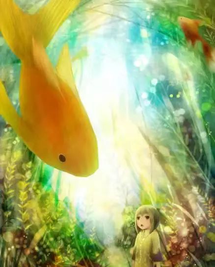 中国锦鲤的现状,中国锦鲤公布名单