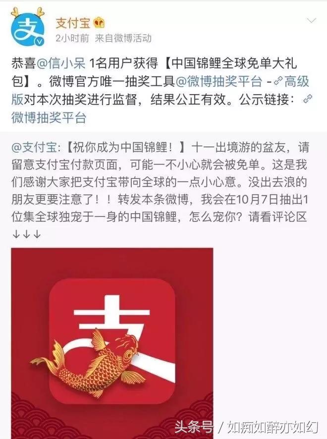 此次支付宝锦鲤营销的赢家有谁,支付宝锦鲤营销的赢家有谁