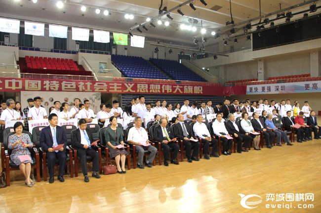 大湾区青少年围棋大赛,粤港澳大湾区围棋联赛