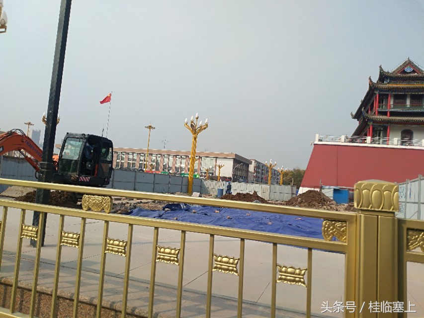 银川人民广场西门口,银川人民广场梧桐树