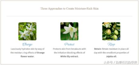 pauljoe粉底,pauljoe单品