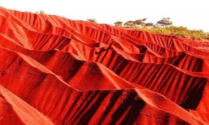 秋在广东很珍贵，若不细心寻找，它便静静地离开了