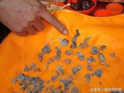 为何高僧火化后有舍利子,得道高僧为什么火化后会有舍利子