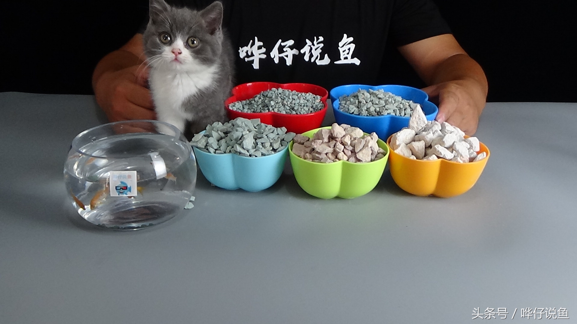 哗仔独家养水秘籍,哗仔独家开缸养水秘籍