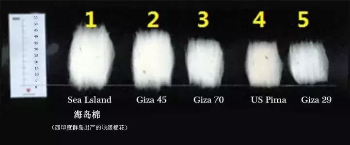 45支纯棉和50支纯棉哪个贵,同样是纯棉为何手感不一样