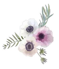 「冬令营」醉美云南·漫步丽江——浩然动力心理成长游学营