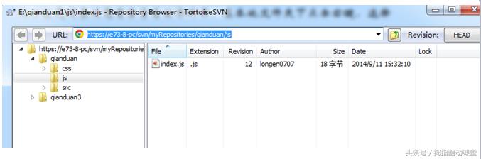 svn使用教程总结,ideasvn使用教程