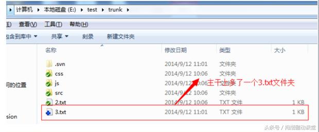 svn使用教程总结,ideasvn使用教程