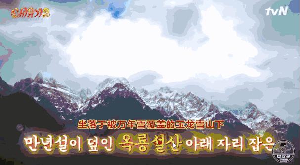 韩国综艺推荐2019豆瓣高分,韩国高评分综艺