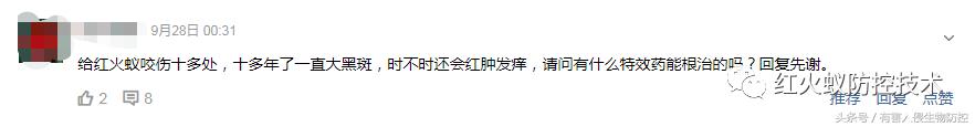 被红火蚁咬的治疗方法,被红火蚁咬后怎么处理偏方