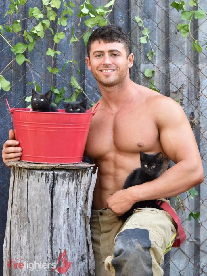 一组热到爆的猫片，对不起我要流鼻血了……