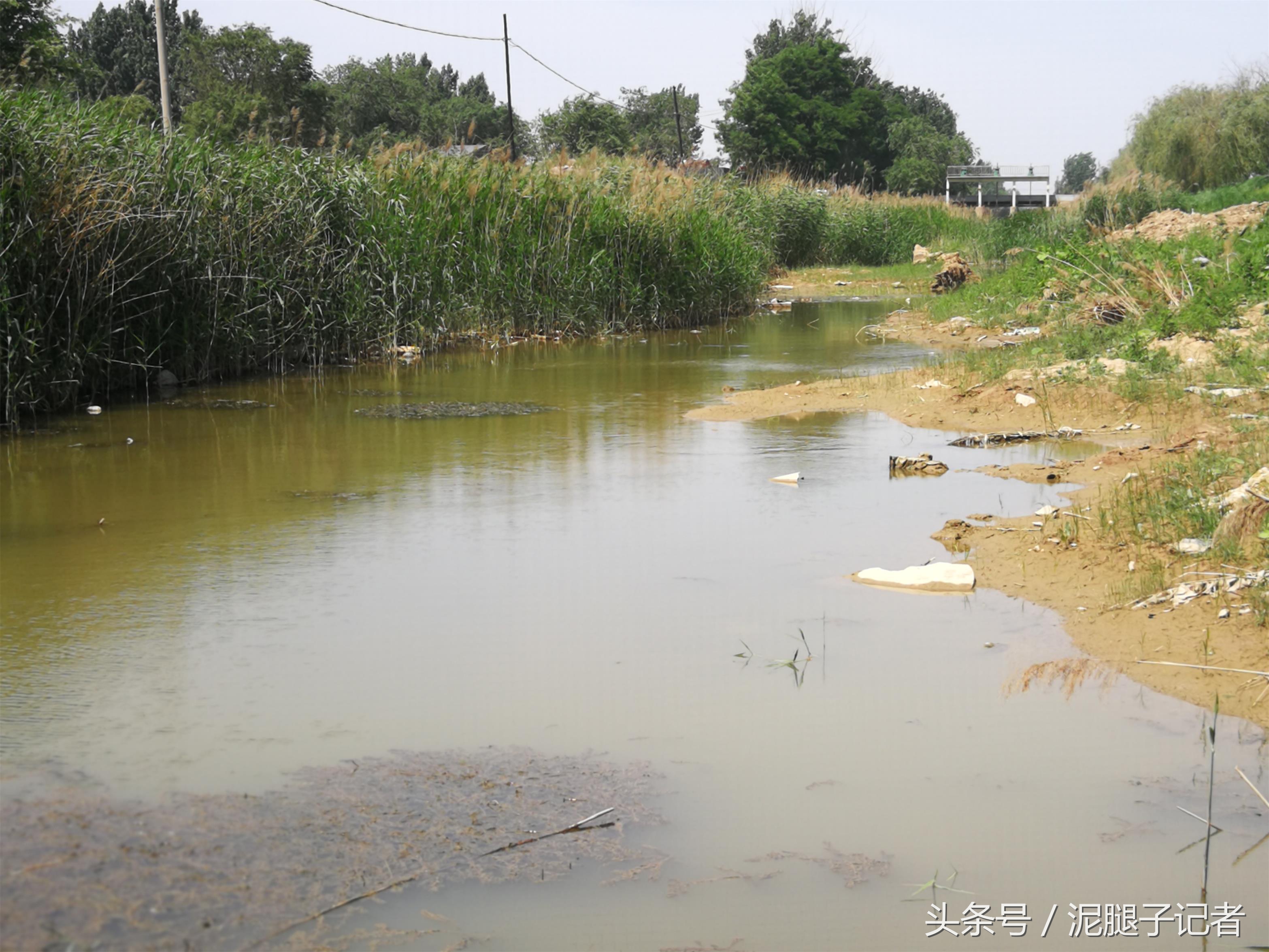 小河沟野钓能遇到什么鱼,野河沟钓鱼钓到珍稀鱼