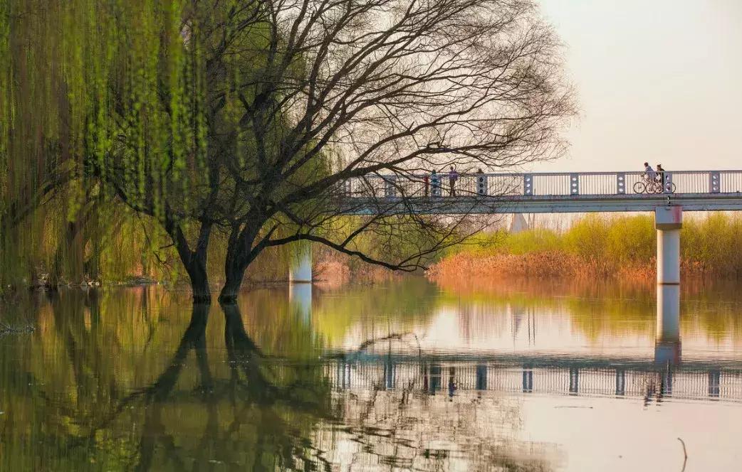 你眼前的西安,便是曾经的长安