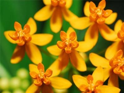 单反数码摄影入门教程,数码单反摄影进阶完全教程