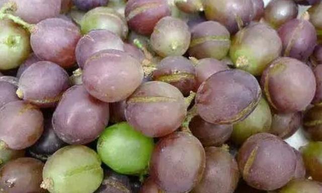 葡萄怎么买甜,葡萄怎么买新鲜的