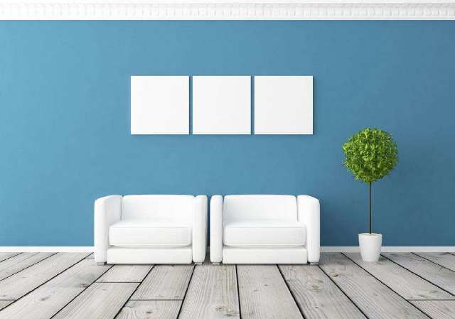 刚装修的房子里放洋葱能除甲醛吗,用洋葱可以除甲醛吗效果怎么样