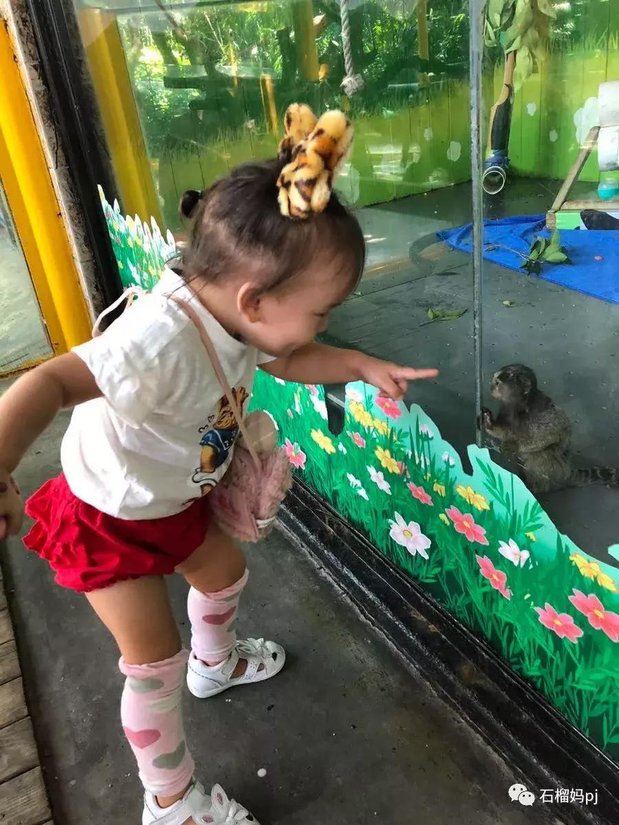 长隆欢乐世界和长隆野生动物园,广州长隆野生动物园侏罗纪公园