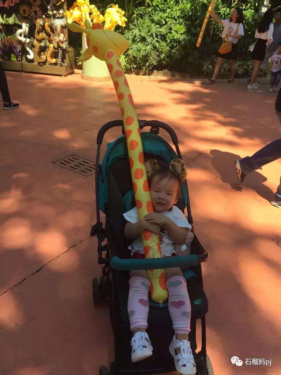 长隆欢乐世界和长隆野生动物园,广州长隆野生动物园侏罗纪公园