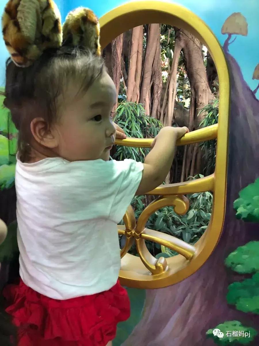 长隆欢乐世界和长隆野生动物园,广州长隆野生动物园侏罗纪公园