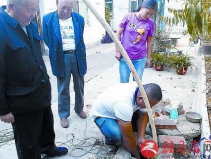 粉色花海被踩踏,花海遭践踏