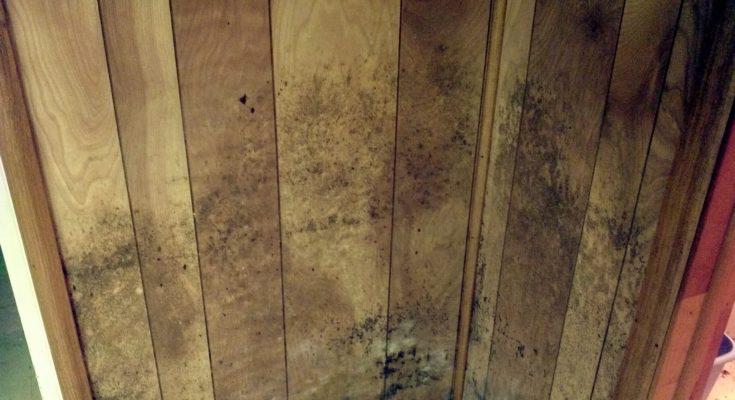 家具长时间不用怎么防灰,家具长期不用怎么防霉