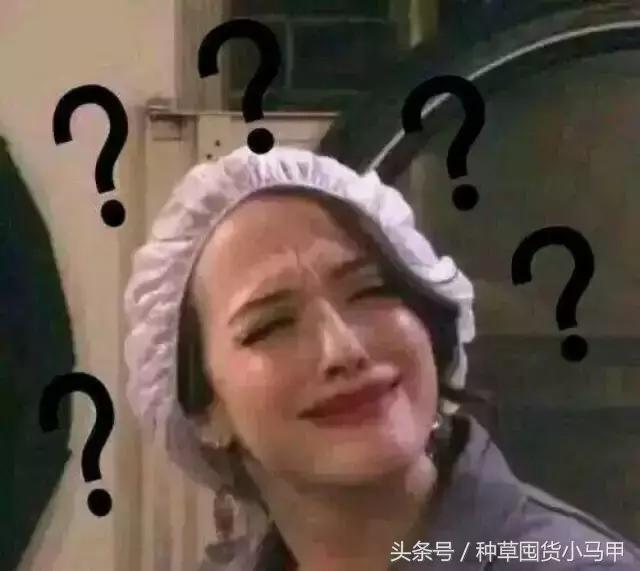 假货就是坑人最终坑的还是自己,假货都有哪些