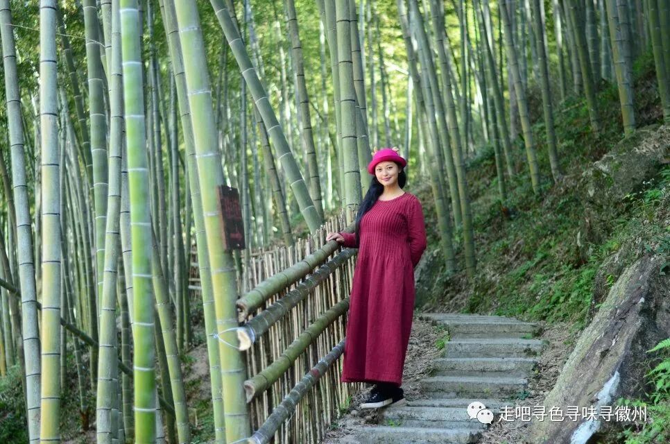 竹海扬波，溪山飞瀑｜心花开放在幽篁里