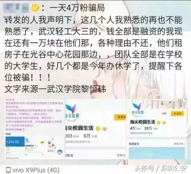 锦鲤活动什么时候开始的,锦鲤活动的关键点