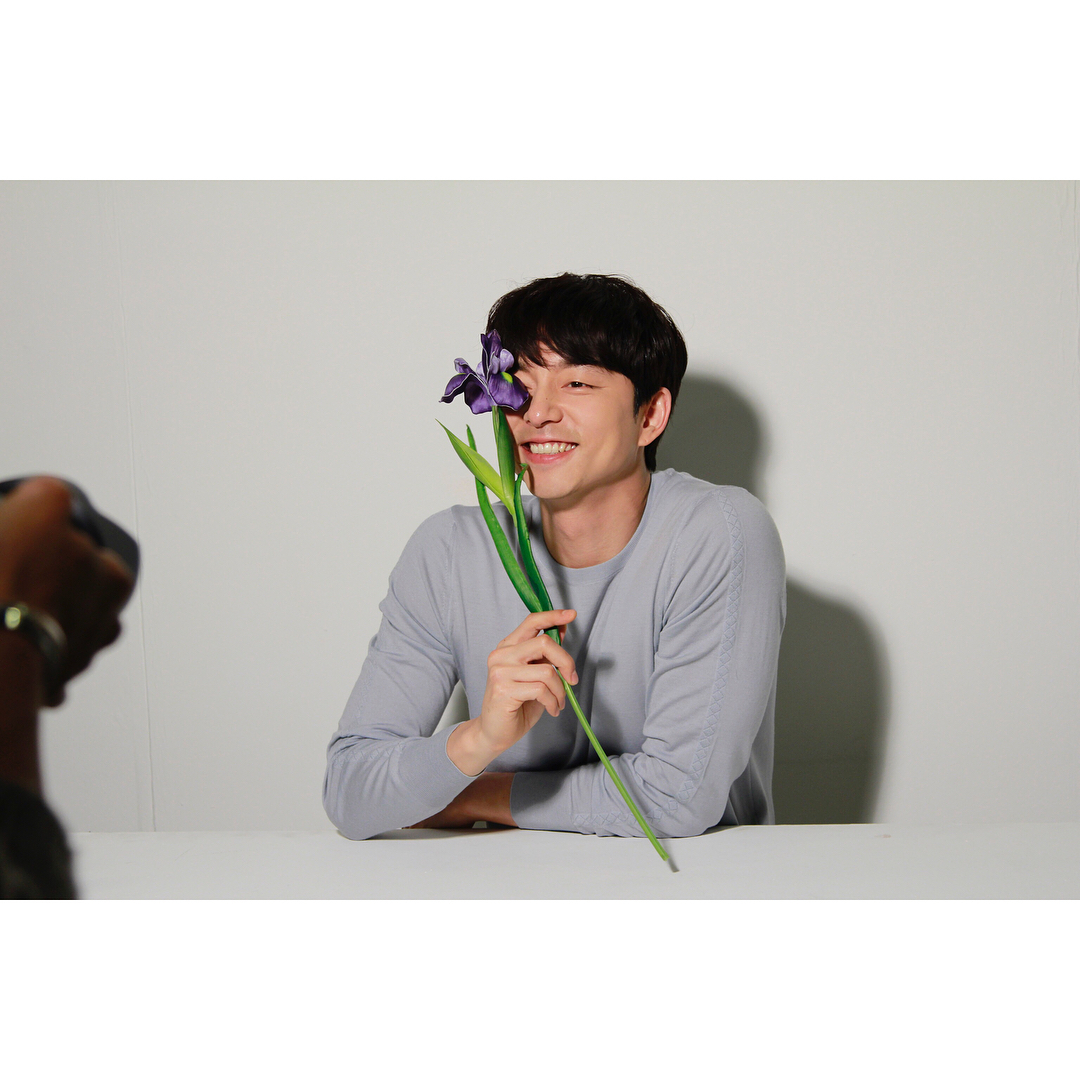 河智苑的韩国艺人,河智苑韩流