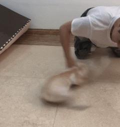 20秒转狗40圈！这家网红店，求求你放过狗吧！