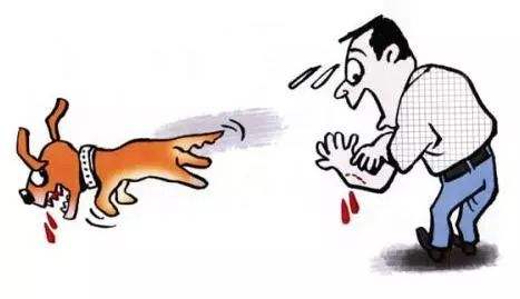 狂犬病毒感染一般多久能治愈,狂犬病病毒发作后有办法治愈吗