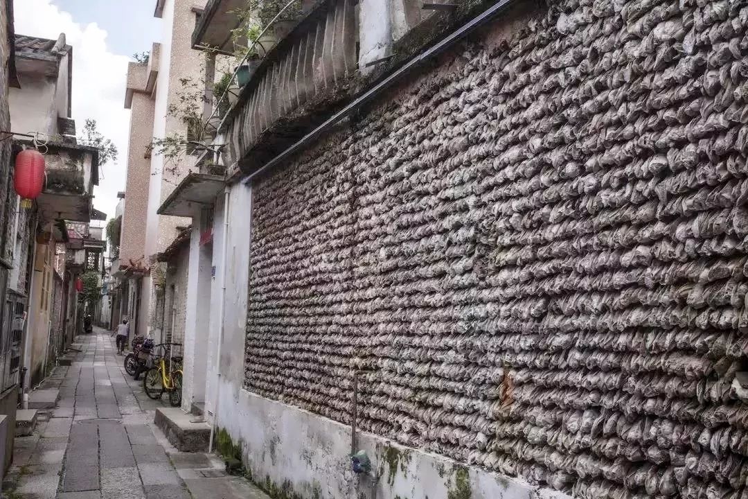 乡村游秋天,乡村旅游探寻真实的乡土风情