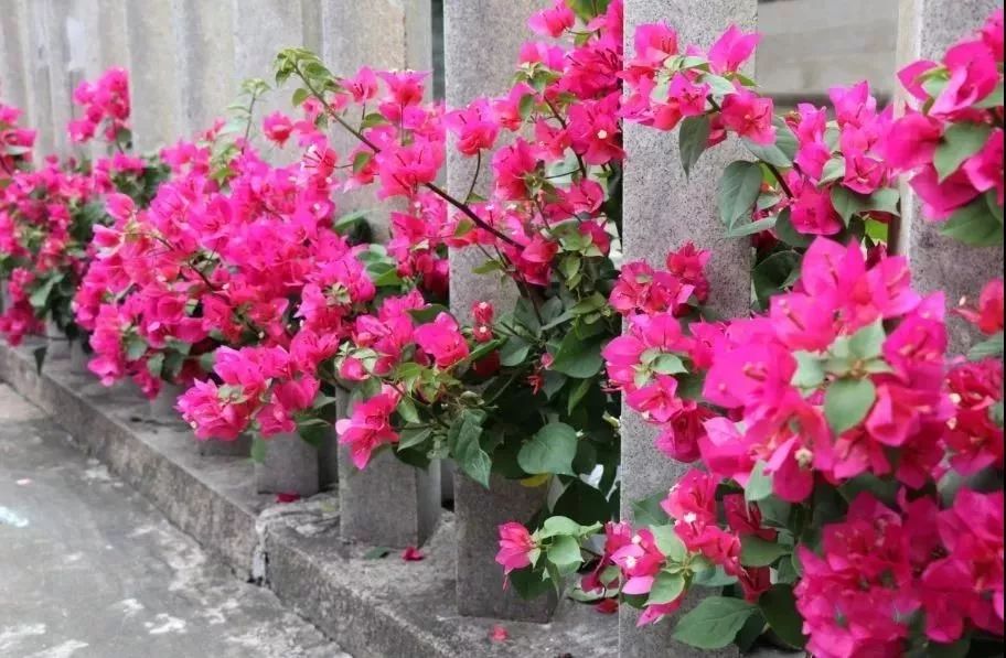 乡村游秋天,乡村旅游探寻真实的乡土风情