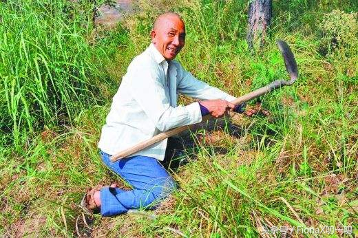 杨超越综艺效果最新心动的信号,杨超越参加了哪一期心动的信号