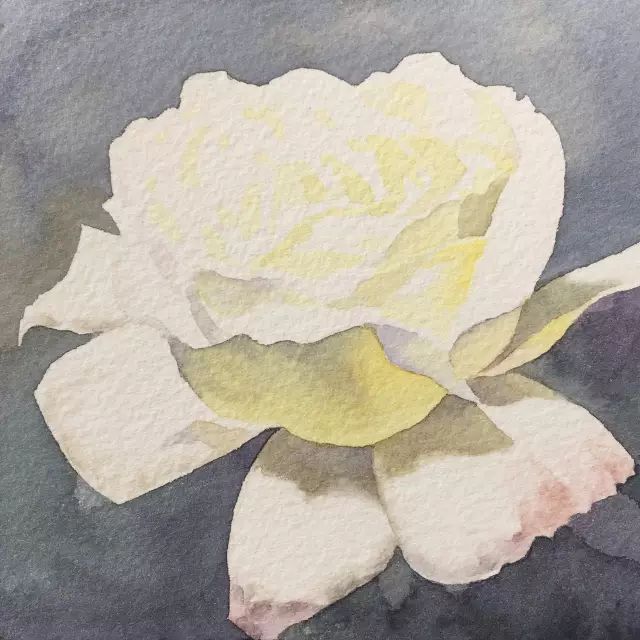 情人节用丙烯画画,情人节教我们画玫瑰