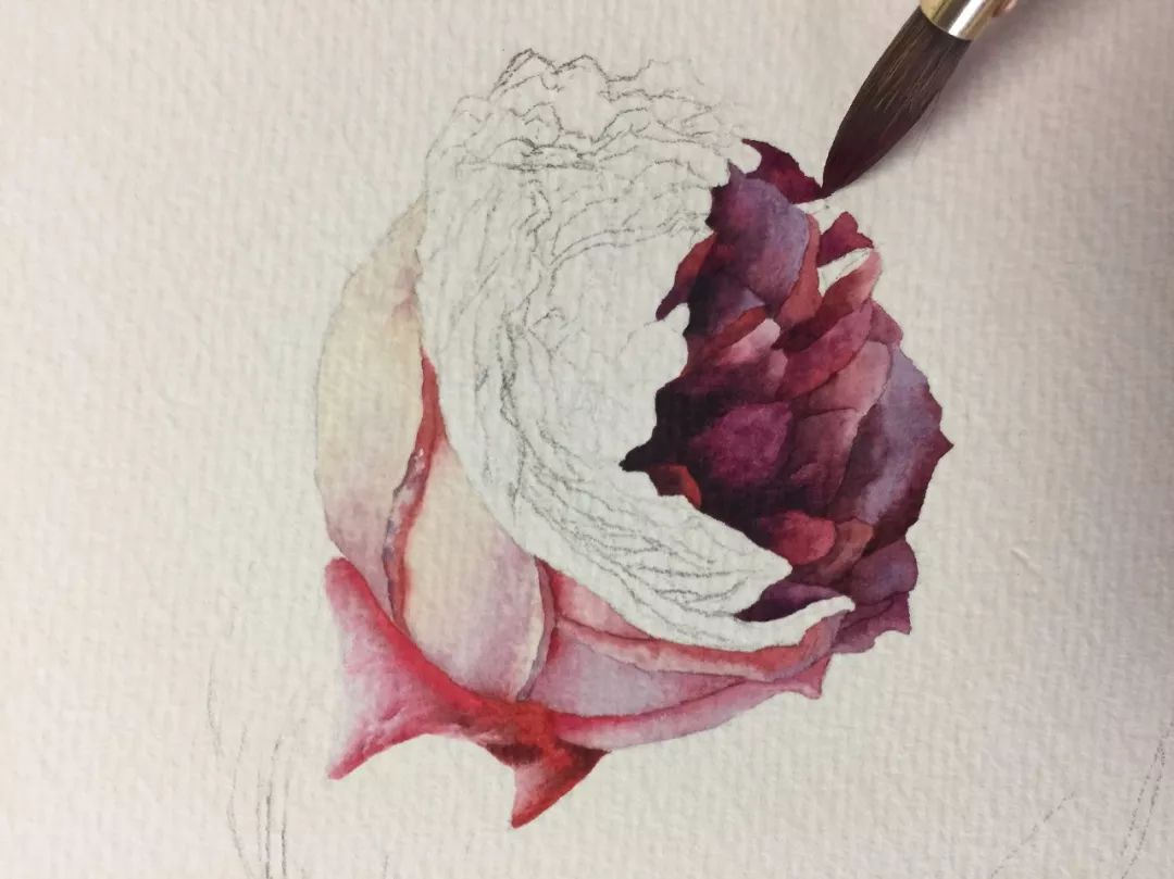 情人节用丙烯画画,情人节教我们画玫瑰