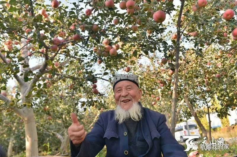 *疆新**各地“地域拖油瓶”出炉！对不起，我又拖后腿了…………