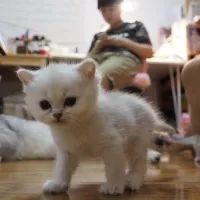 皮具定制淘宝店铺推荐怎么做,淘宝上靠谱的皮具店