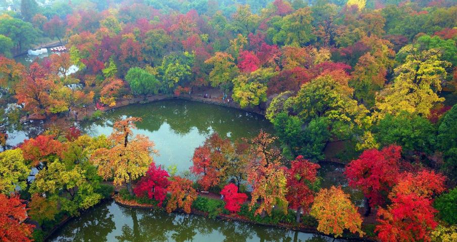 定了！上海又一条铁路获批，30min到湖州，还连接起了苏州！