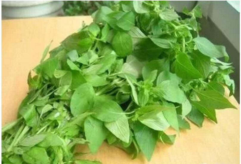 外感咳嗽怎么治,外感咳嗽怎么治疗最好