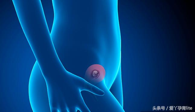 准妈妈孕十月养胎攻略