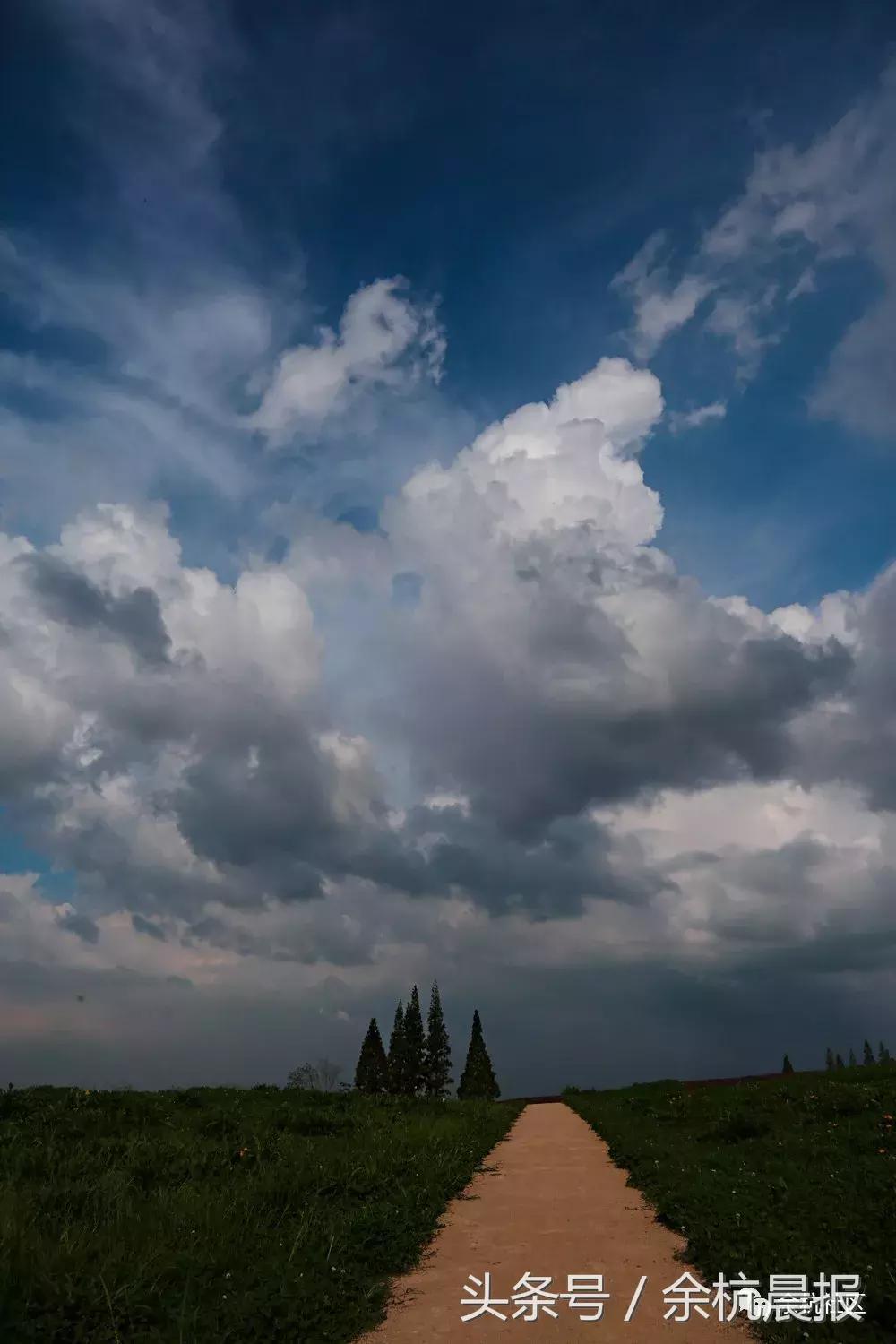 9090000㎡！余杭新增一大型公园，1299个足球场大！