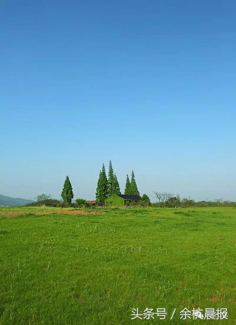 9090000㎡！余杭新增一大型公园，1299个足球场大！