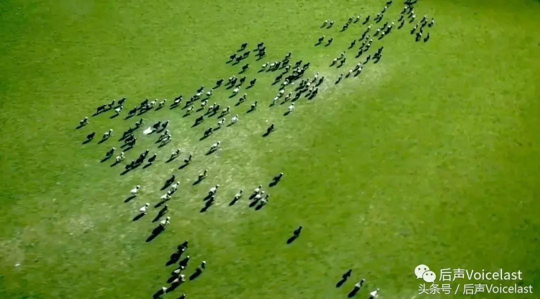 LOROPIANA（精华篇）顶奢羊绒成功之道，除了贵，可学的还有很多