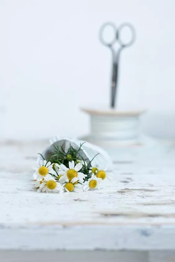 适合敏感肌的湿敷水洋甘菊,洋甘菊纯露修复敏感肌反馈