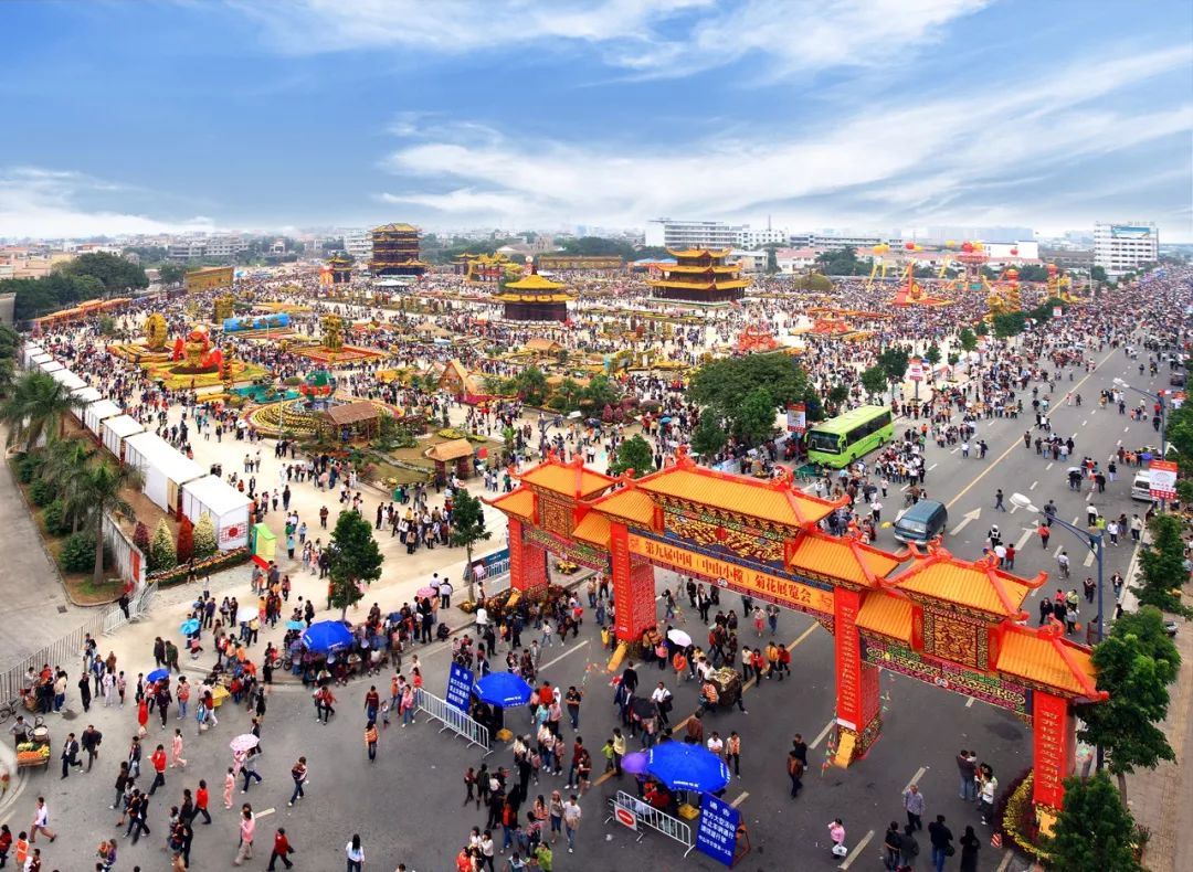 菊花什么人不建议吃呢,菊花可以吃下去吗