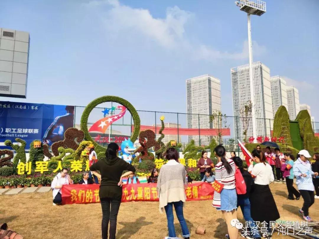 武汉第四十届菊展分别在哪里,武汉江滩第三十八届金秋菊展