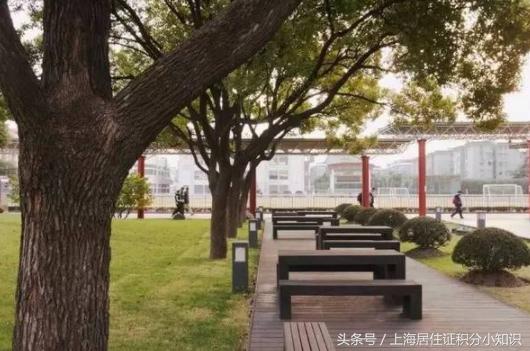 魔都十大重点高中,在闵行的顶尖学校