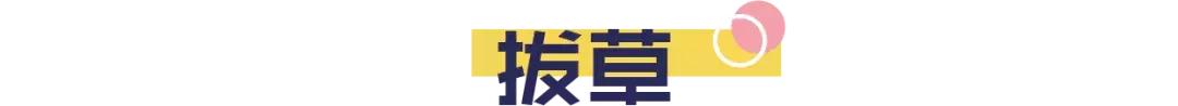 泰国热门产品排行榜,泰国网红商品到底怎么样