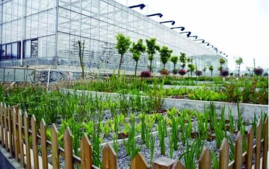 现代都市农业项目投资,都市农业有前景吗